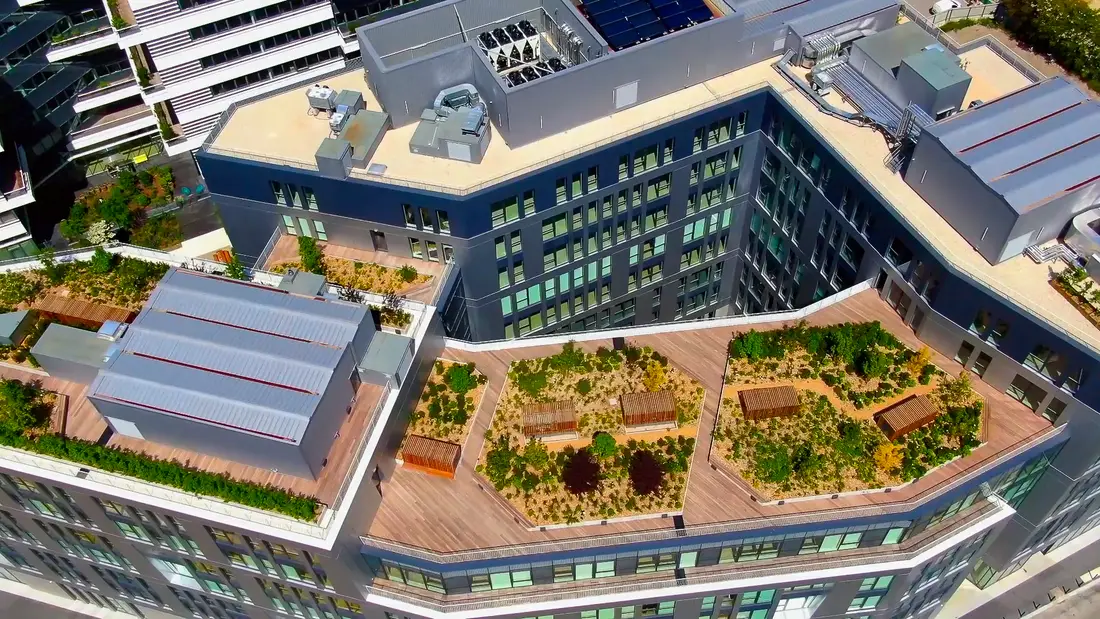 Toitures végétalisées intensives sur immeuble de bureaux