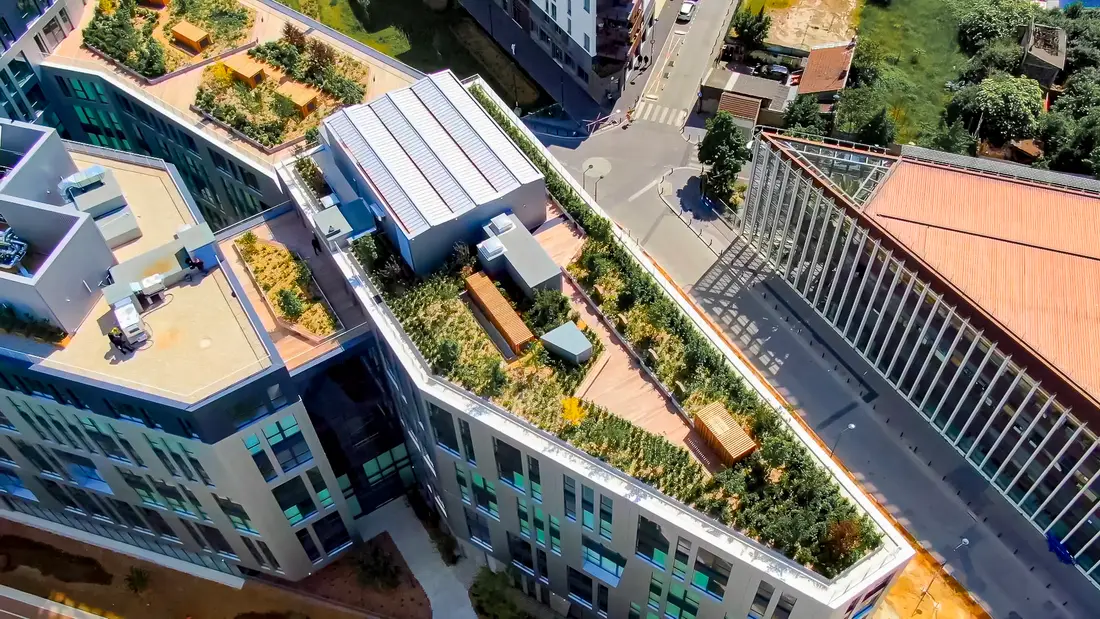 Toiture végétalisée et terrasse en lames bois