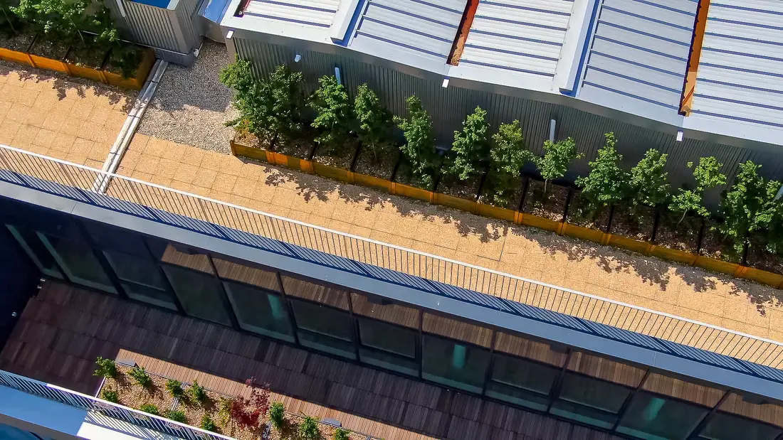Terrasse en lames bois et jardinières