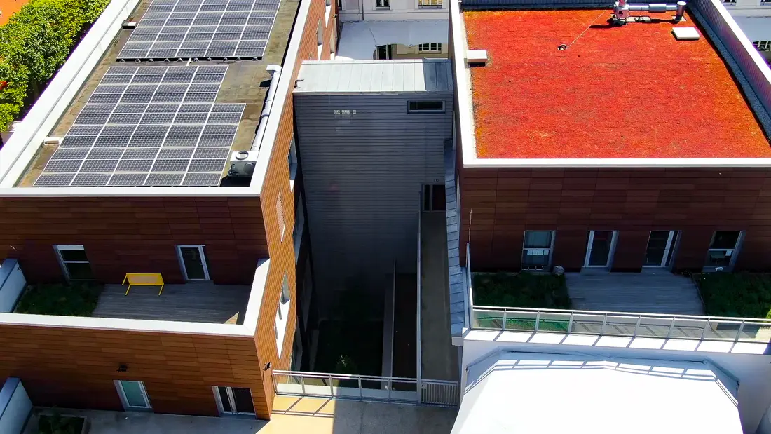 Toiture végétalisée extensive et panneaux solaires